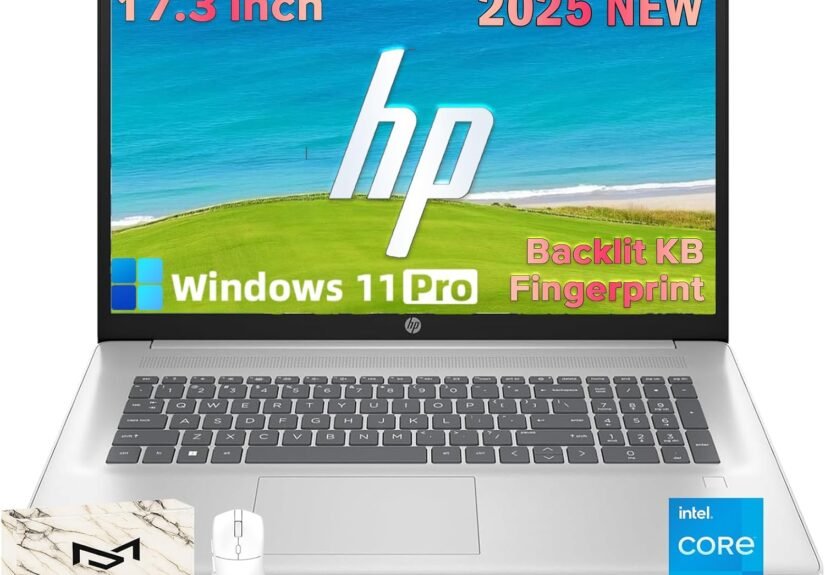 Unlock Your Productivity: HP 17.3 Laptop for Business Review